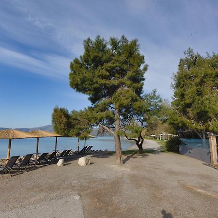 Kalafatis Beach Home Itea Eksteriør bilde